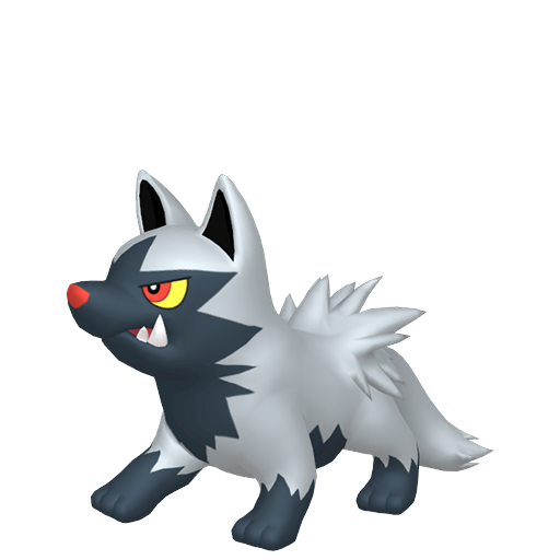 #0261 Poochyena - [Scarlet Violet]