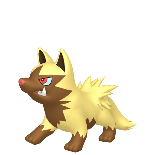 #0261 Poochyena - [Scarlet/Violet]