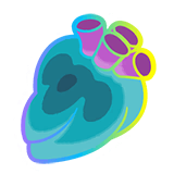 Hyper Persim Berry - [Legends Z-A]