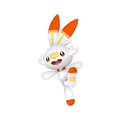 #0813 Scorbunny - [Sword Shield]