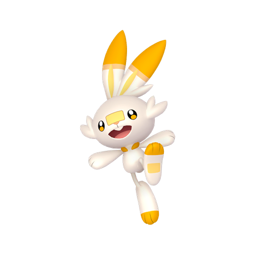 #0813 Scorbunny - [Sword Shield]